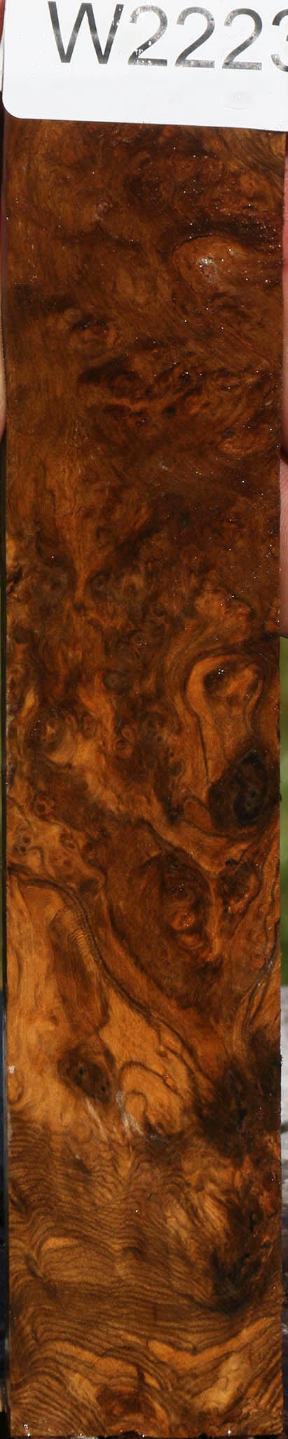 Sindora Burl Micro Lumber