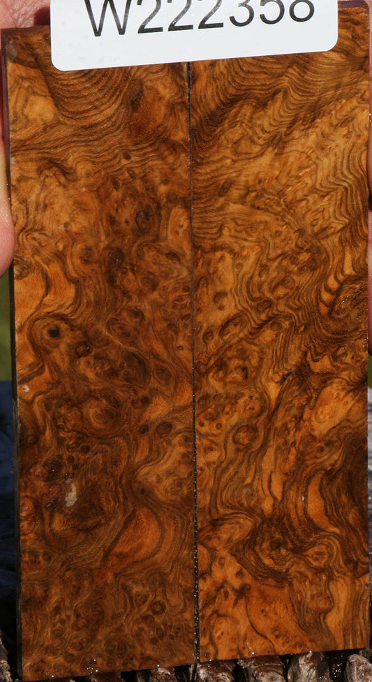 Sindora Burl Knife Scales