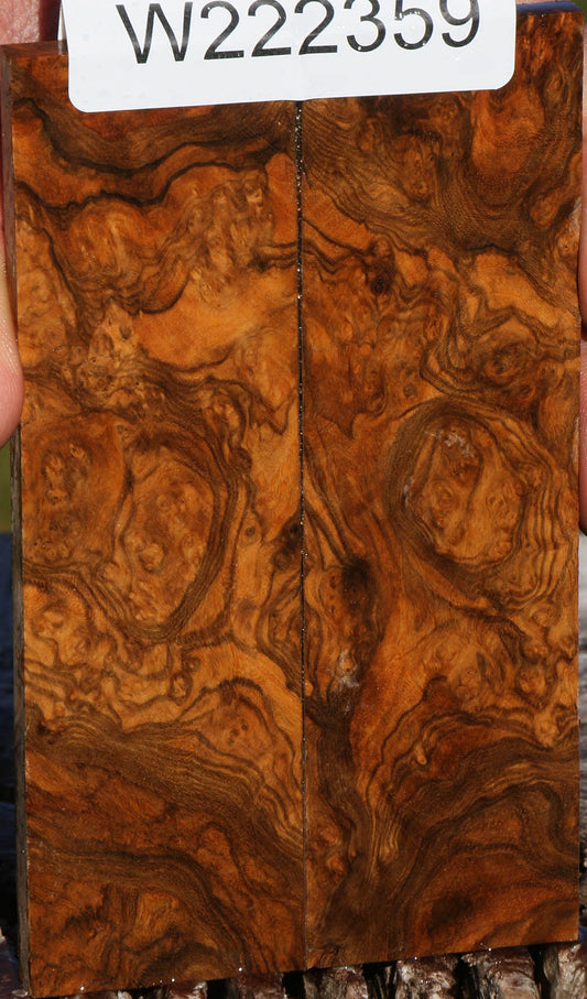 Sindora Burl Knife Scales