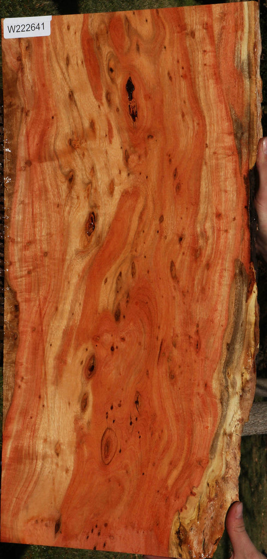 Extra Fancy Carob Live Edge Micro Lumber