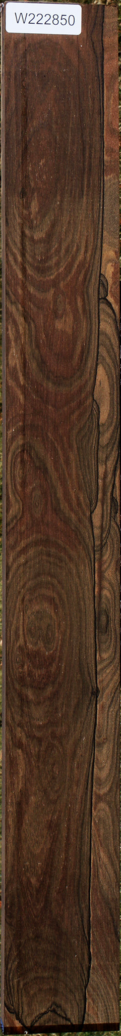 Ziricote Instrument Lumber