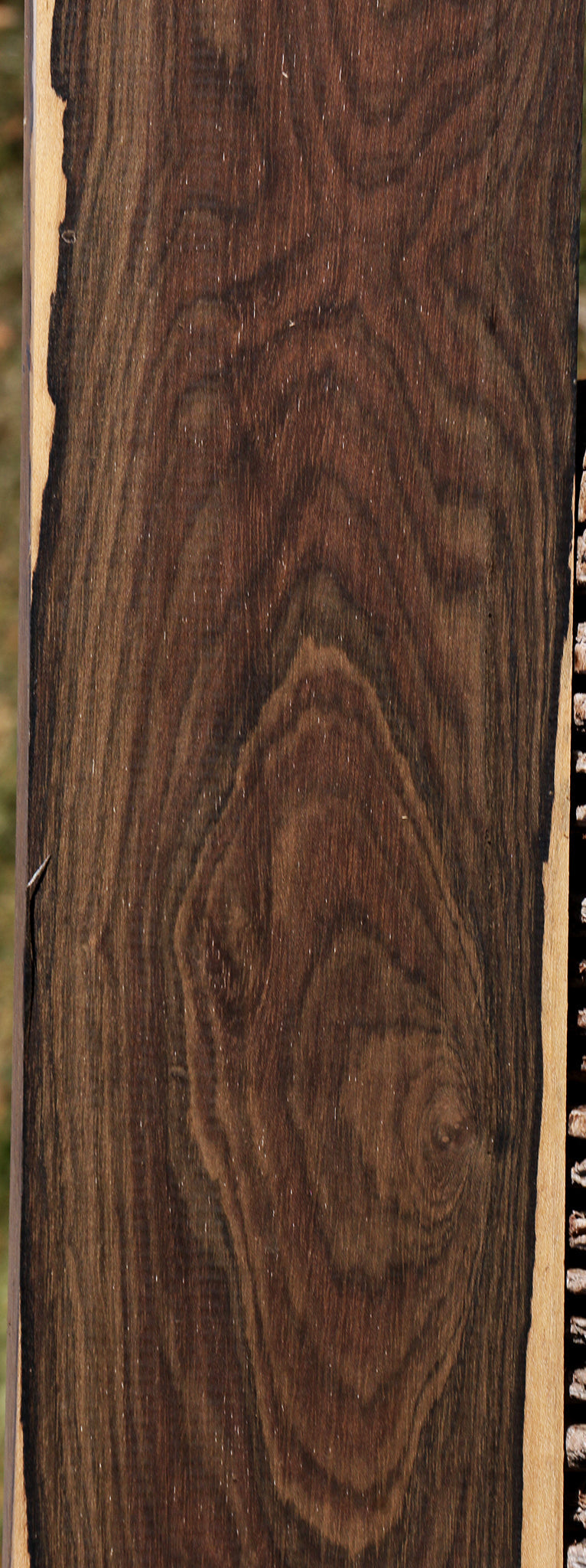 Figured Ziricote Lumber