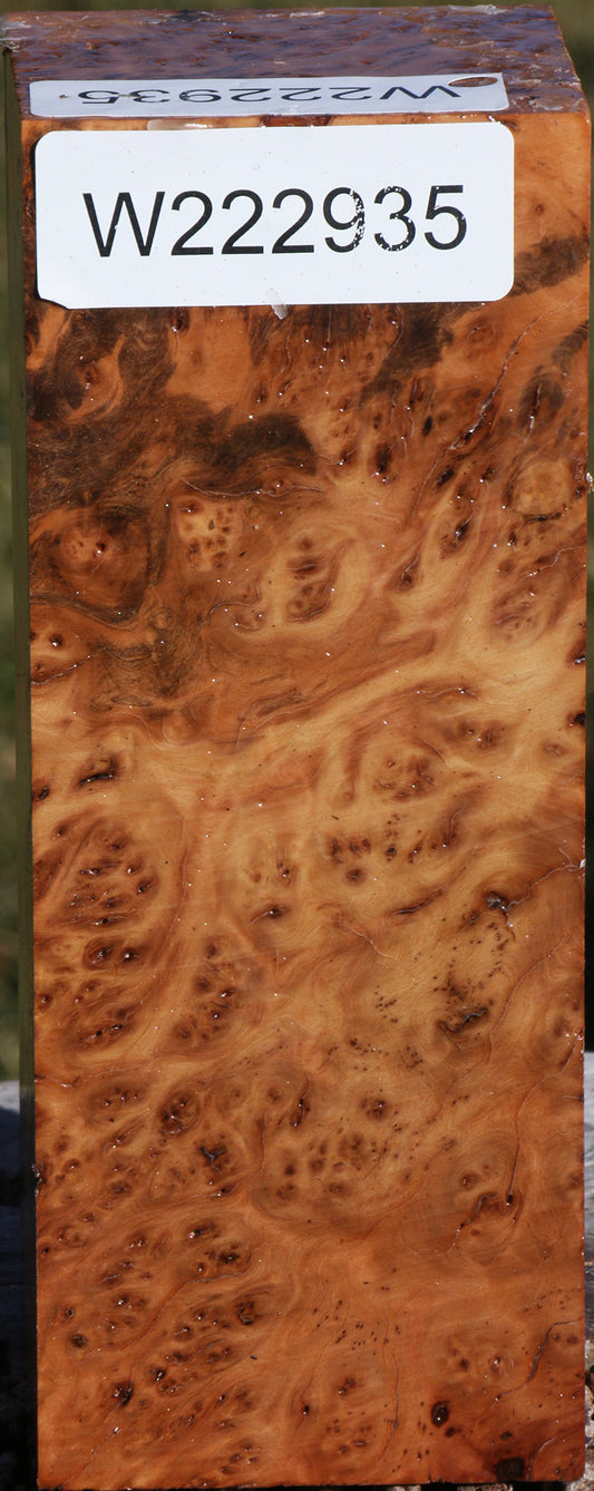 Extra Fancy Hopea Stone Burl Turning Square