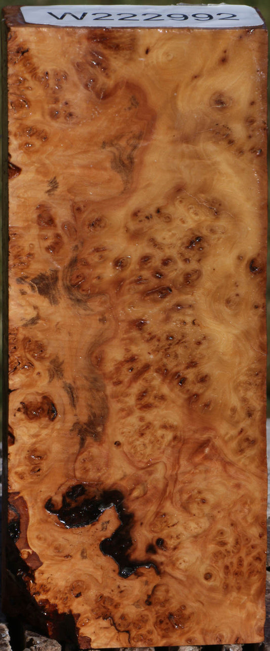 Extra Fancy Hopea Stone Burl Lumber