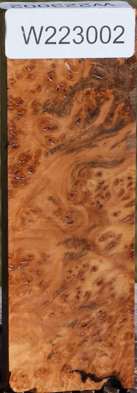 Extra Fancy Hopea Stone Burl Lumber