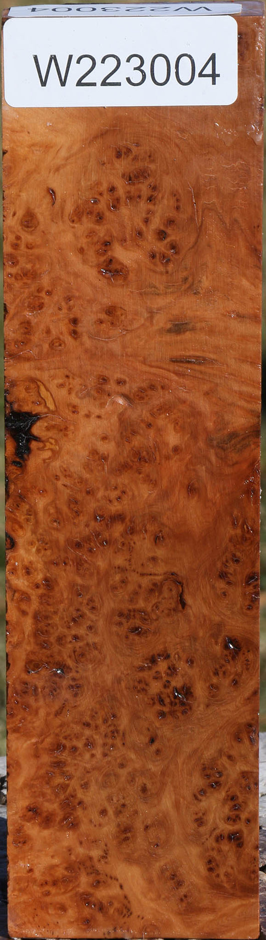 Extra Fancy Hopea Stone Burl Lumber