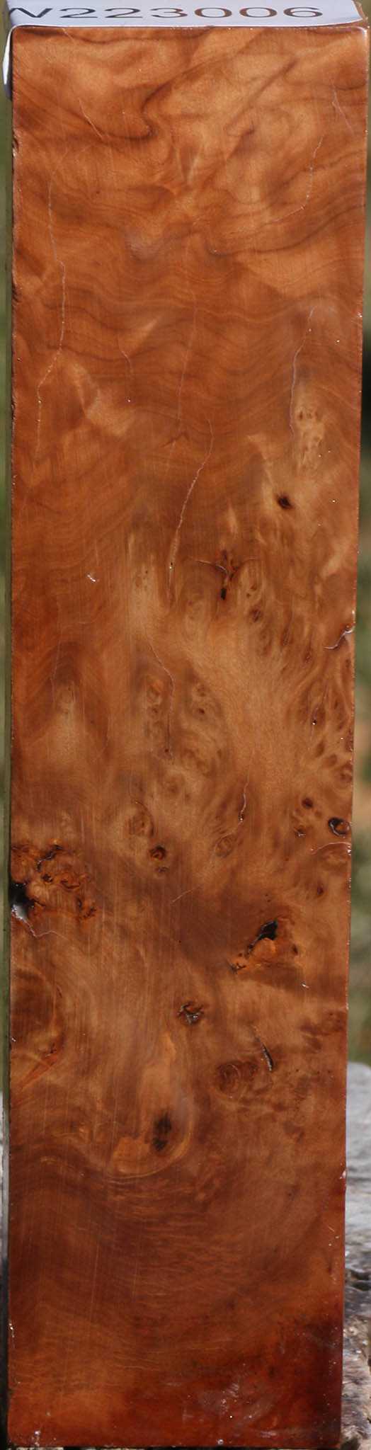 Extra Fancy Hopea Stone Burl Lumber