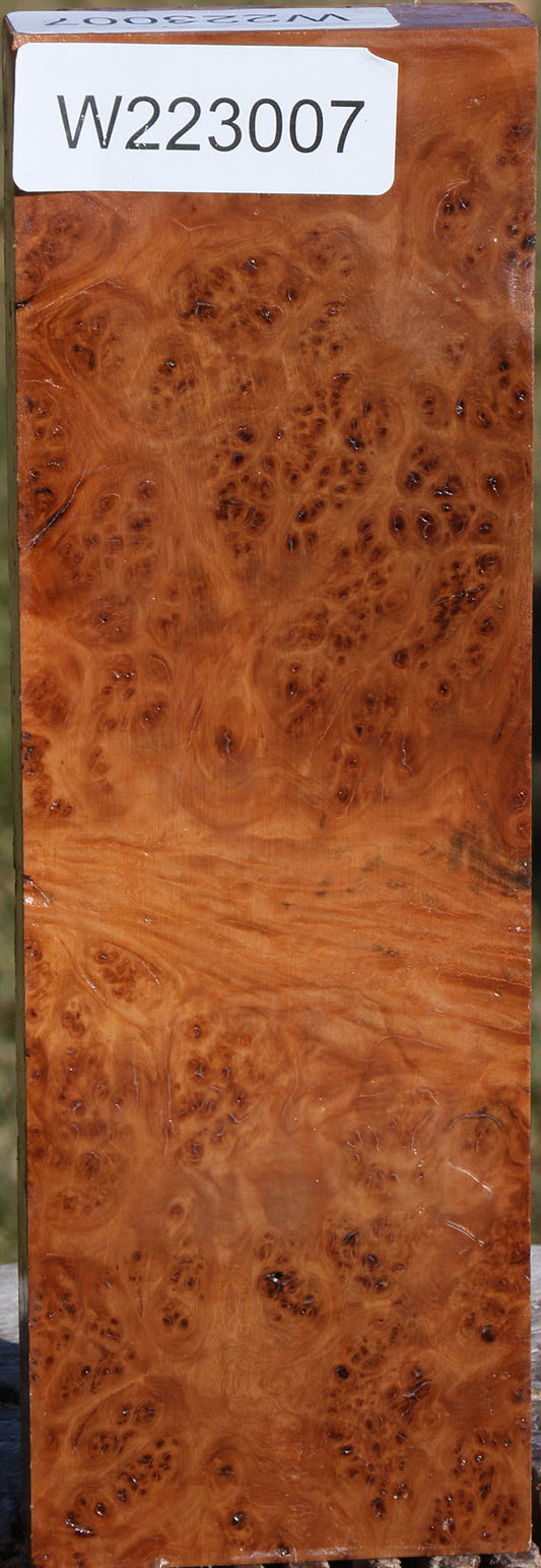 Extra Fancy Hopea Stone Burl Lumber