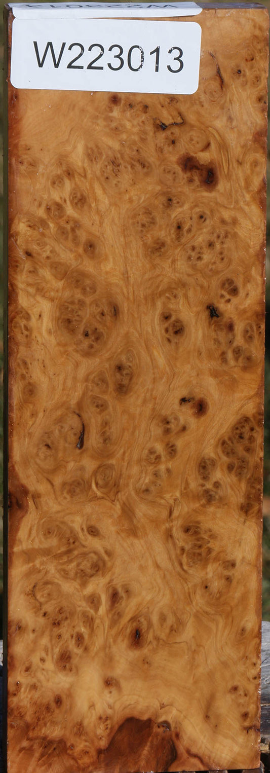 Hopea Stone Burl Lumber