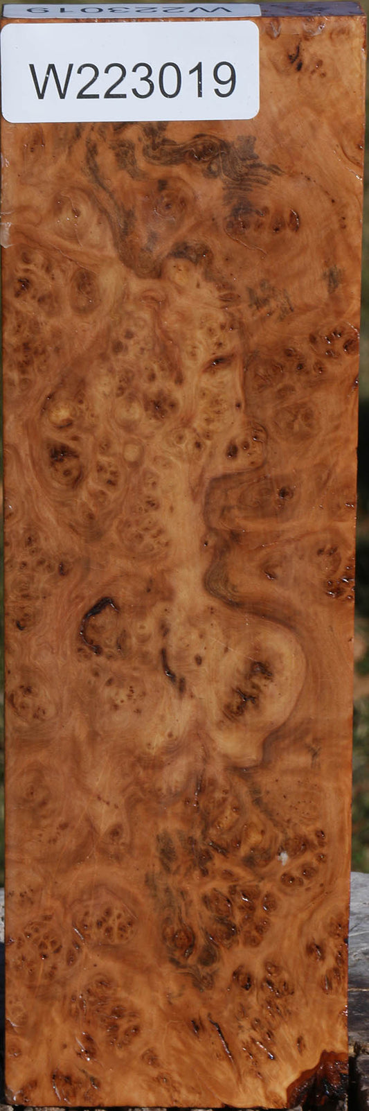 Extra Fancy Hopea Stone Burl Lumber