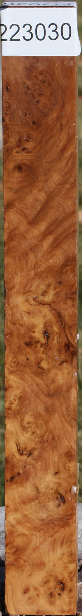 Hopea Stone Burl Turning Square