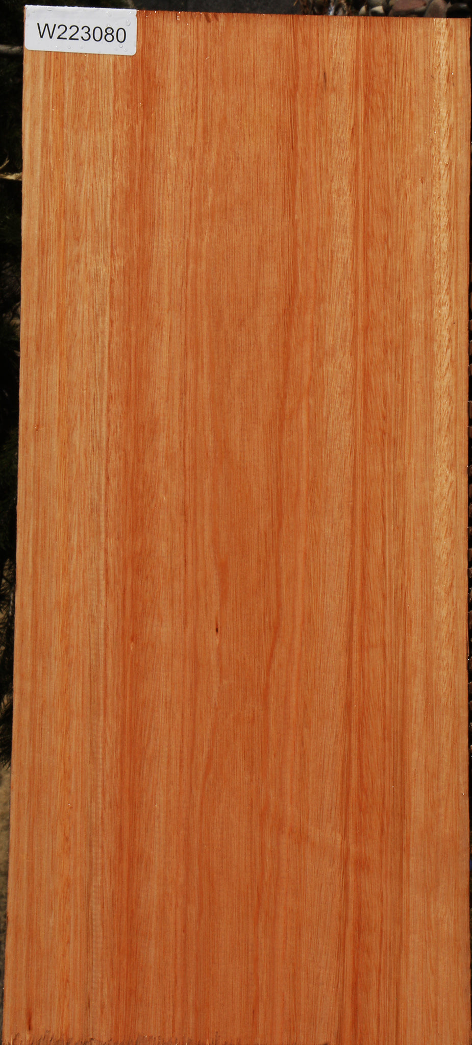 Red Grandis Lumber