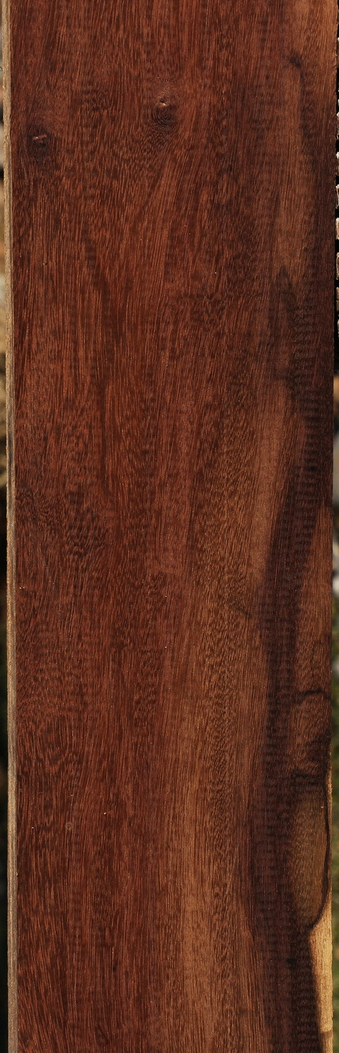 Figured Katalox Lumber