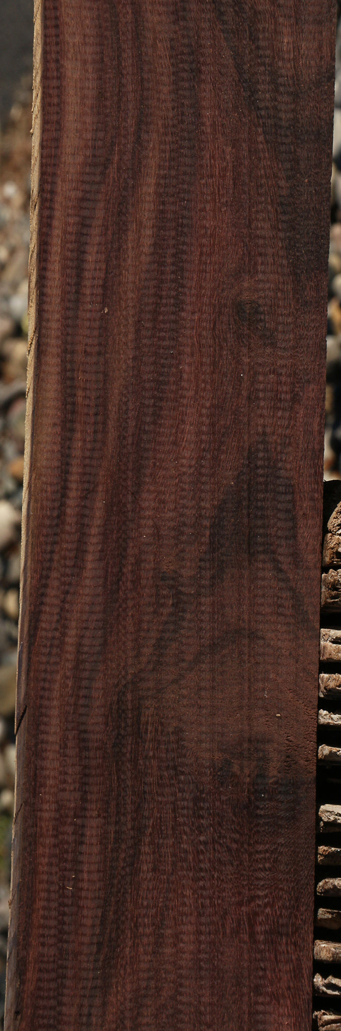 Katalox Lumber