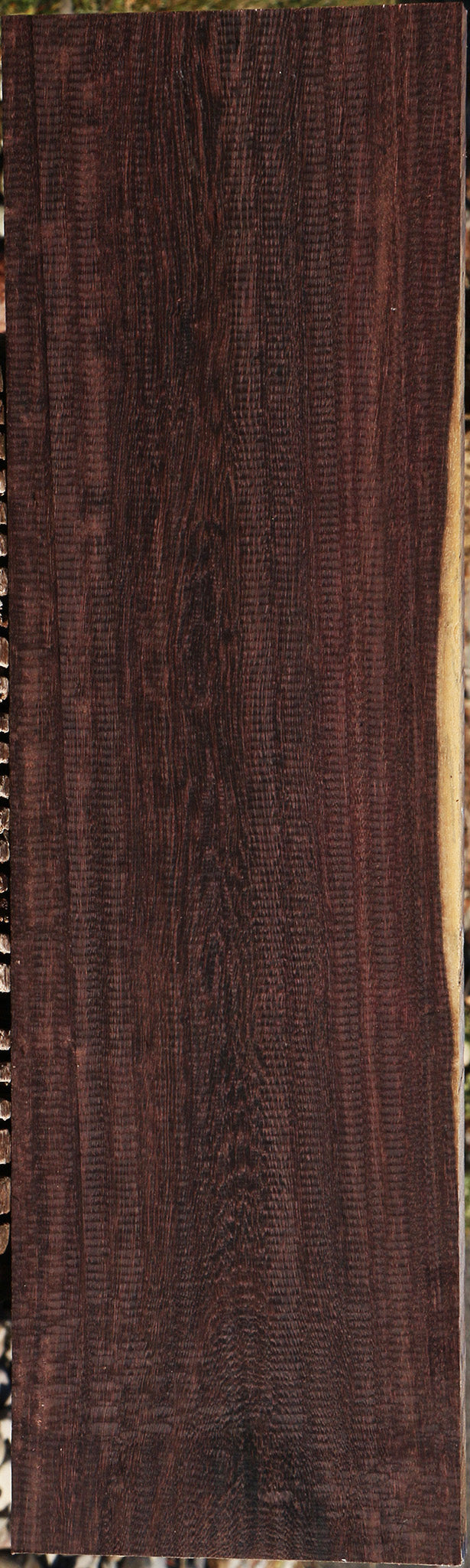 Katalox Lumber