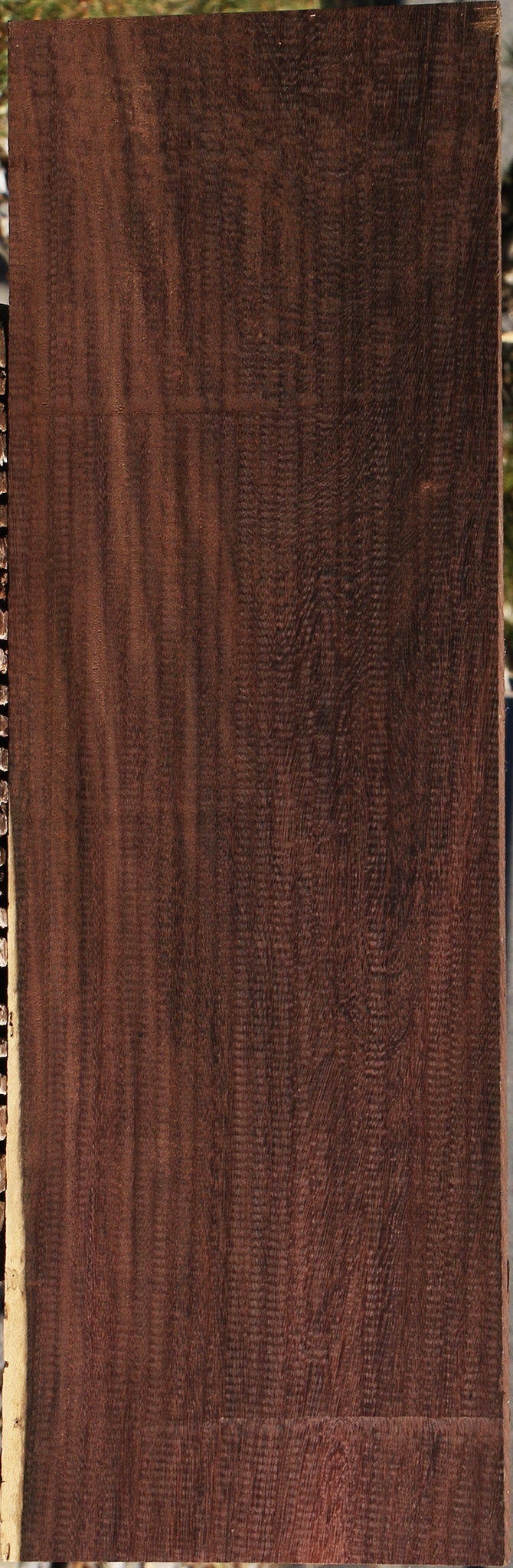 Katalox Lumber