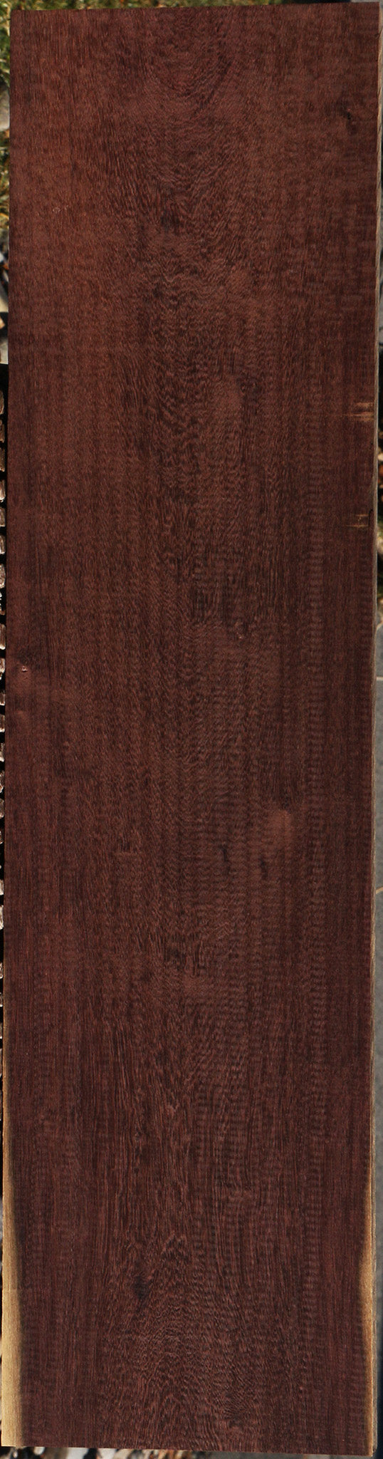 Figured Katalox Lumber