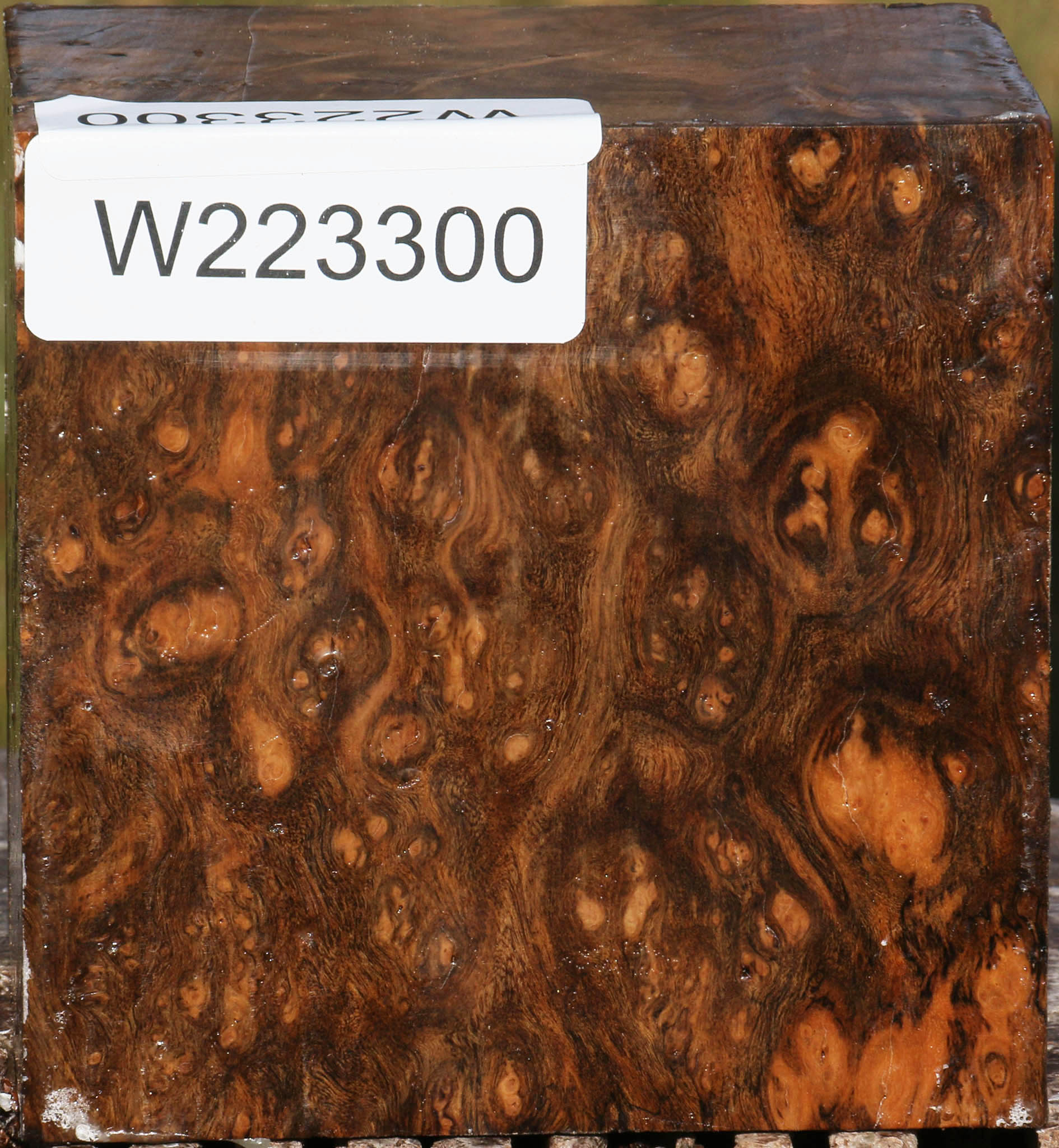 Almond Burl Bowl Blank – Cook Woods