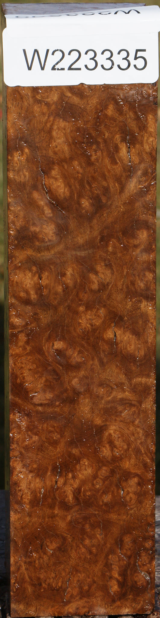 Almond Burl Turning Square