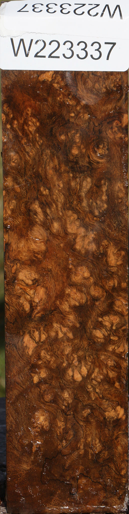 Almond Burl Turning Square