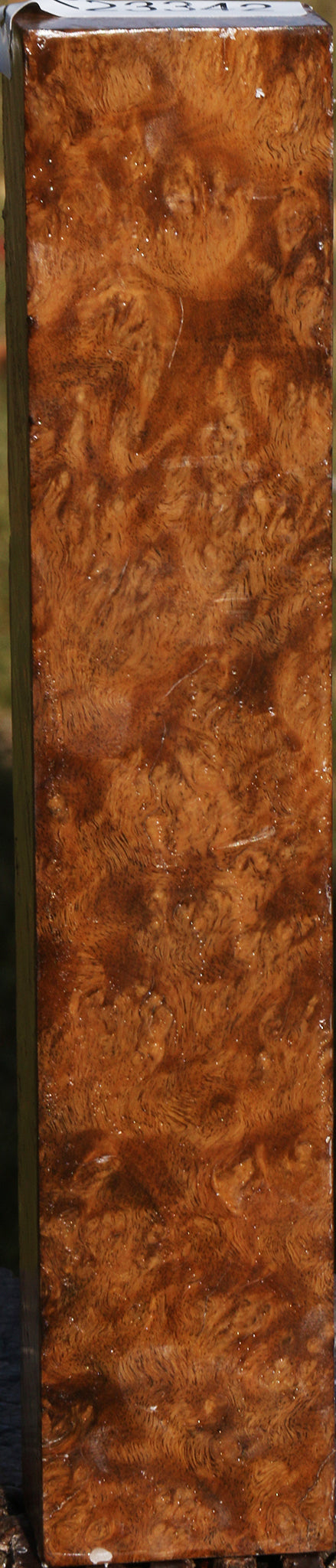 Almond Burl Turning Blank