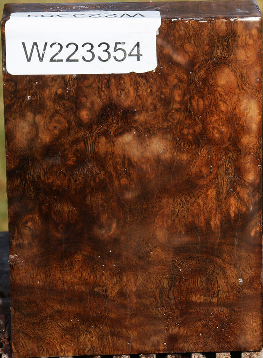 Almond Burl Lumber