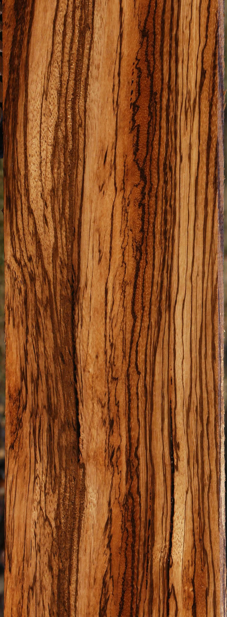 Extra Fancy Zebrawood Micro Lumber