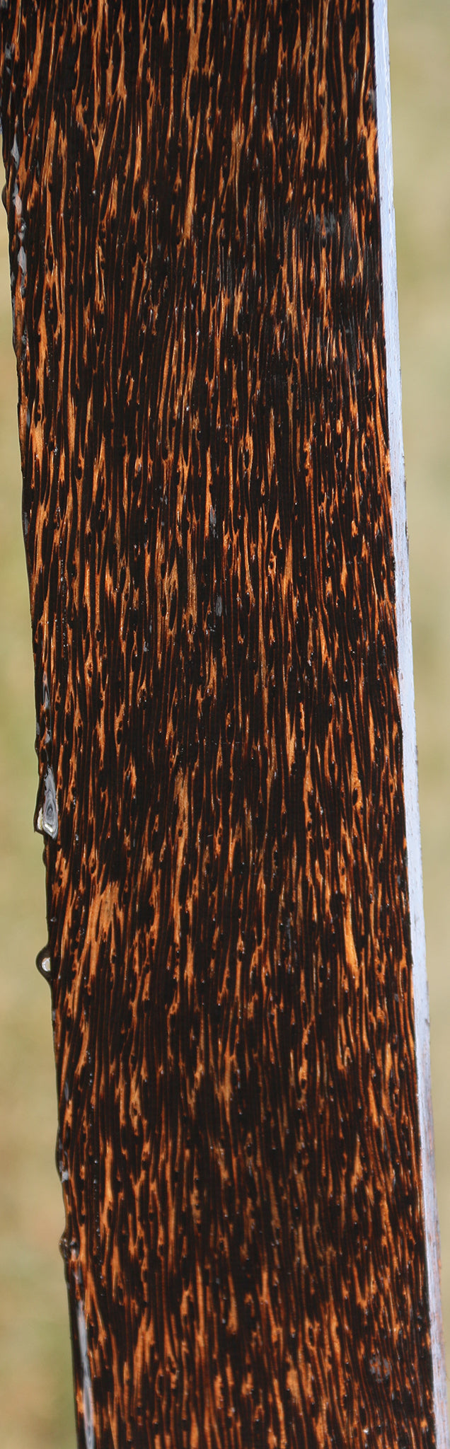 Black Palm Lumber