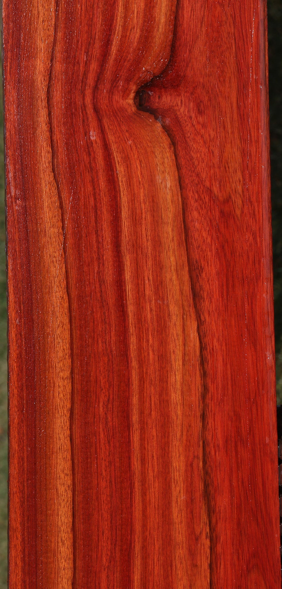 Extra Fancy Bloodwood Lumber