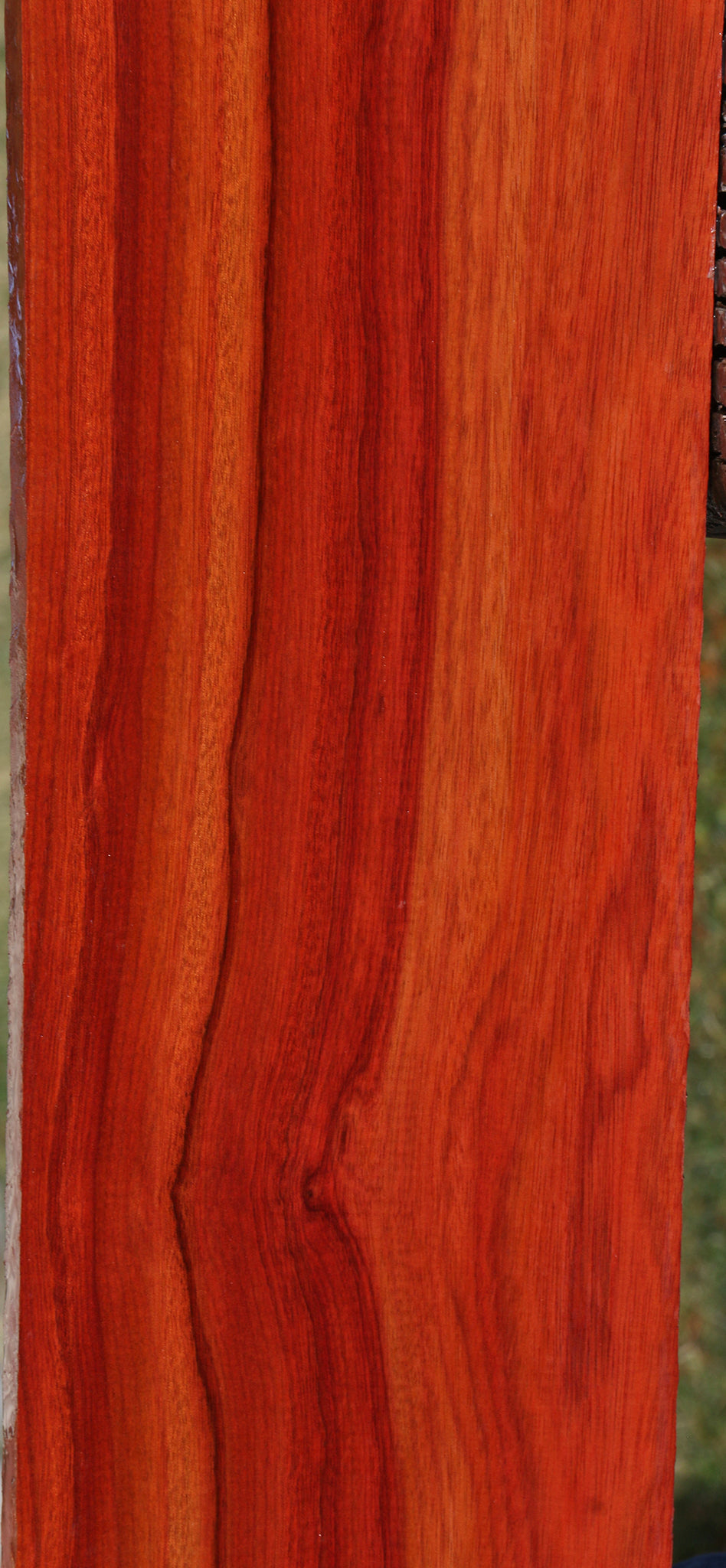 Extra Fancy Bloodwood Lumber