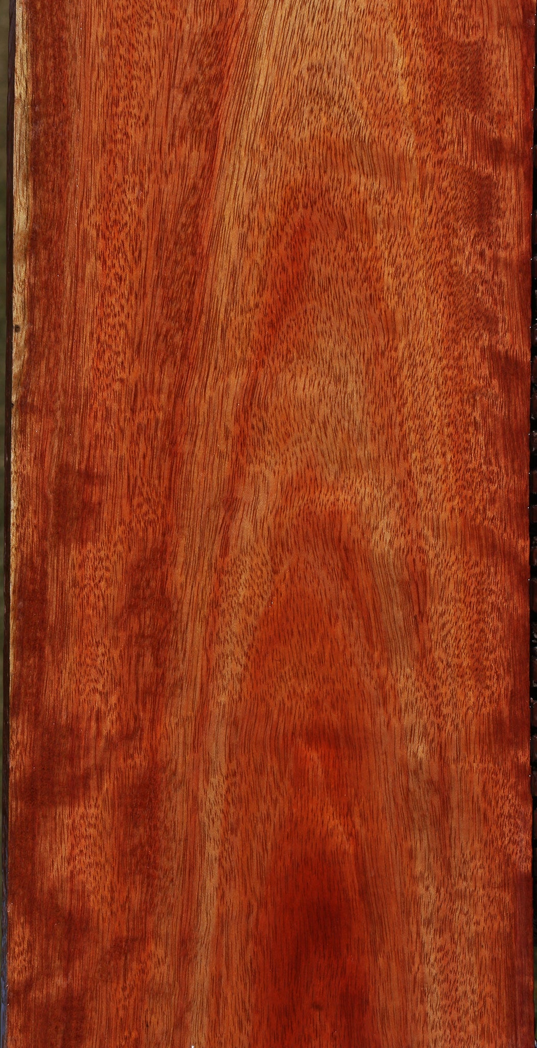 Extra Fancy Bloodwood Lumber