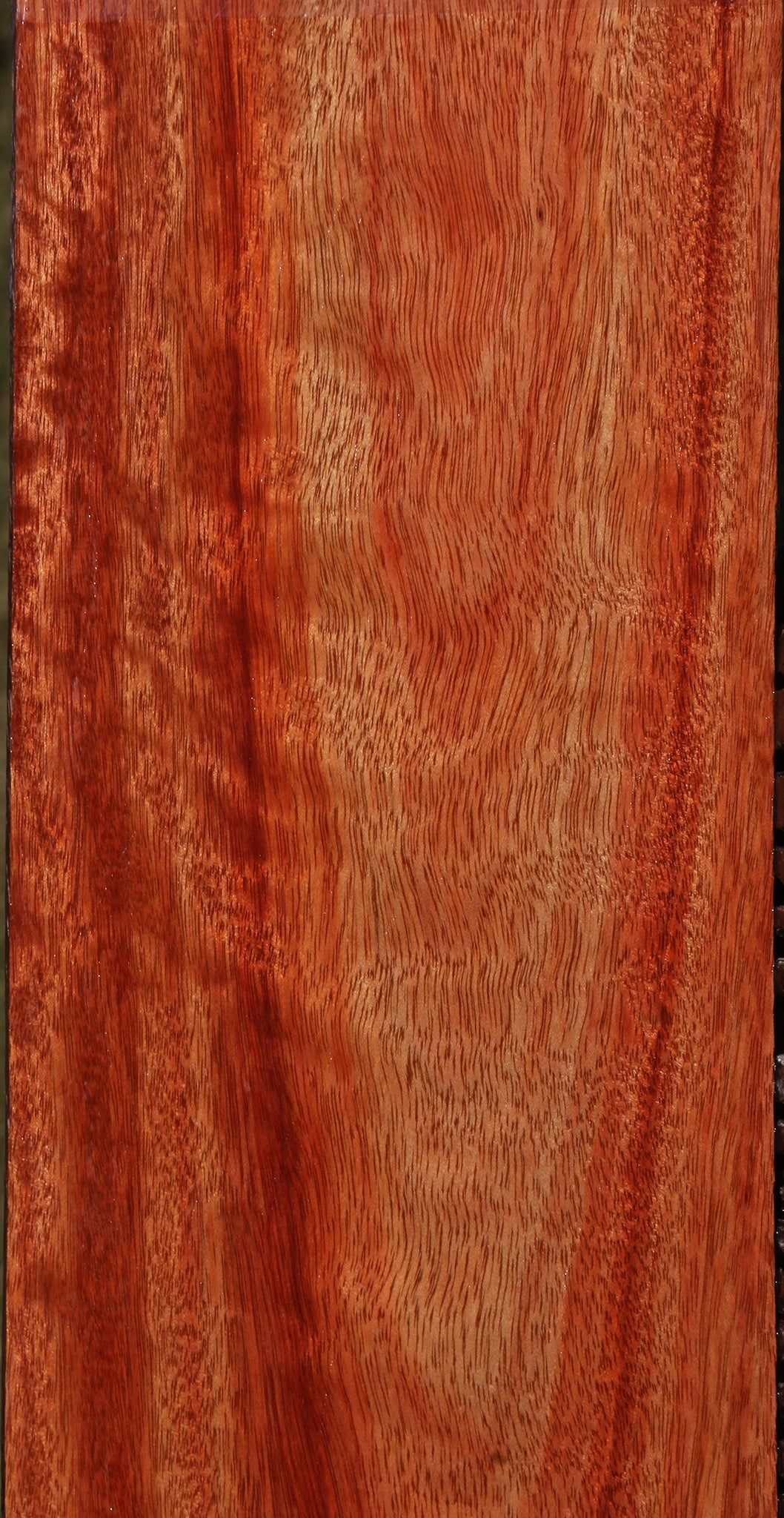 Extra Fancy Bloodwood Lumber