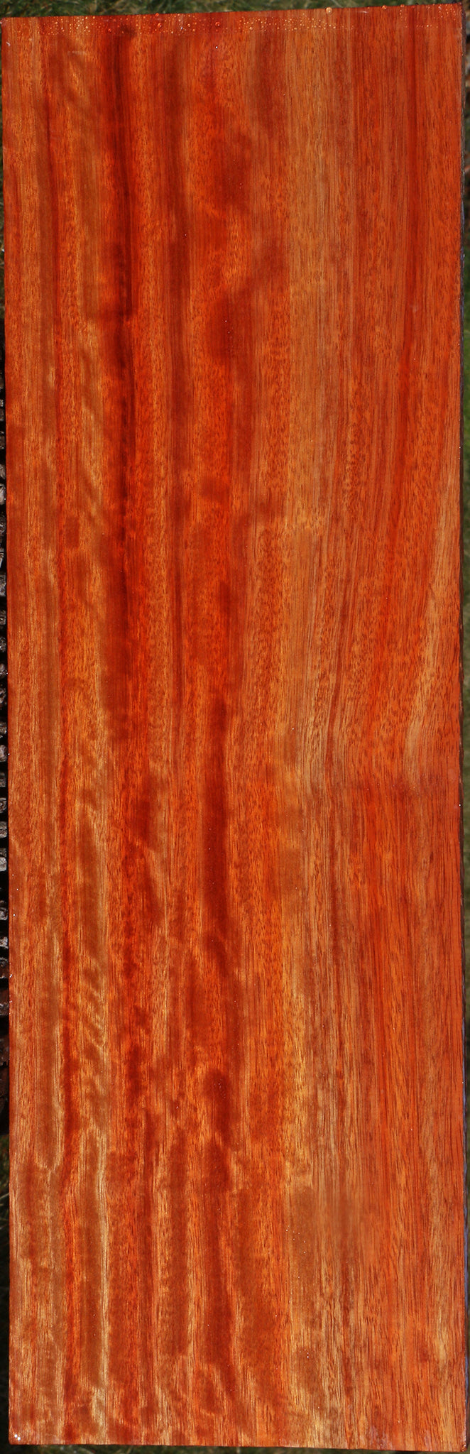 Extra Fancy Bloodwood Instrument Lumber