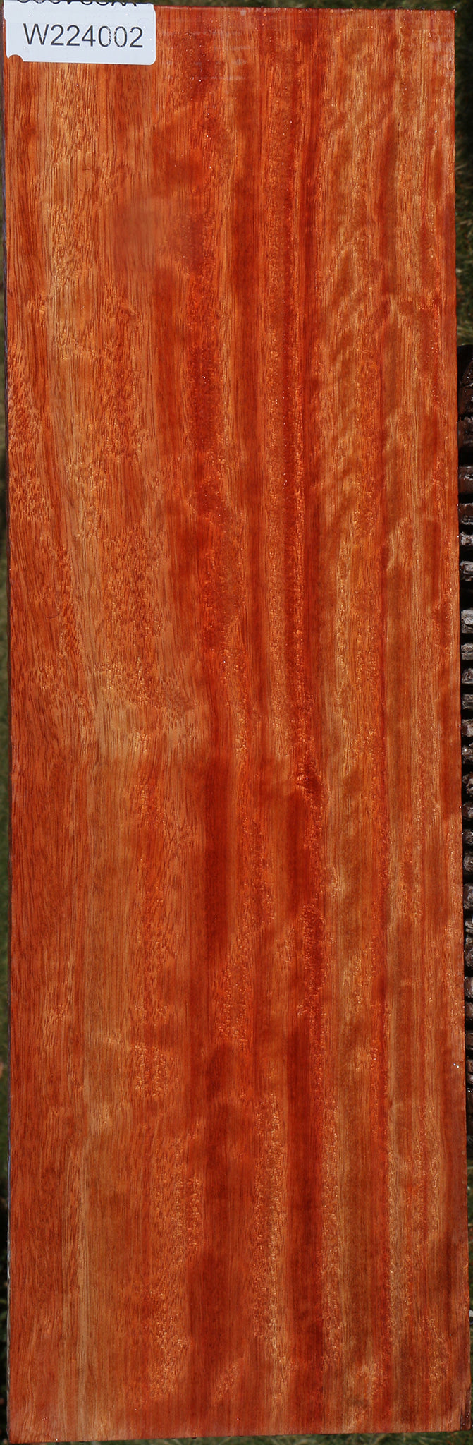 Extra Fancy Bloodwood Instrument Lumber