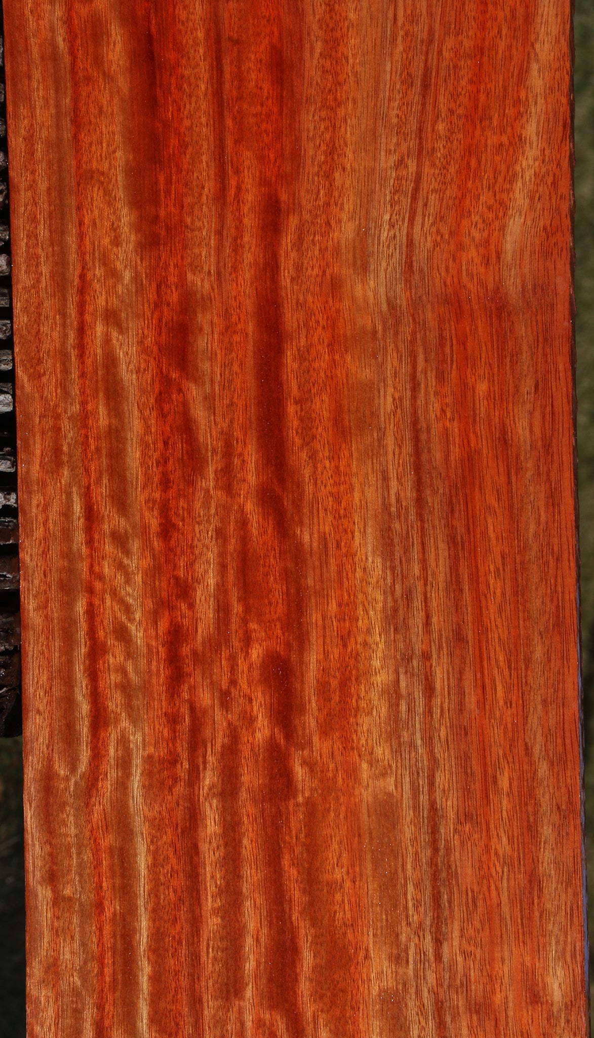 Extra Fancy Bloodwood Instrument Lumber