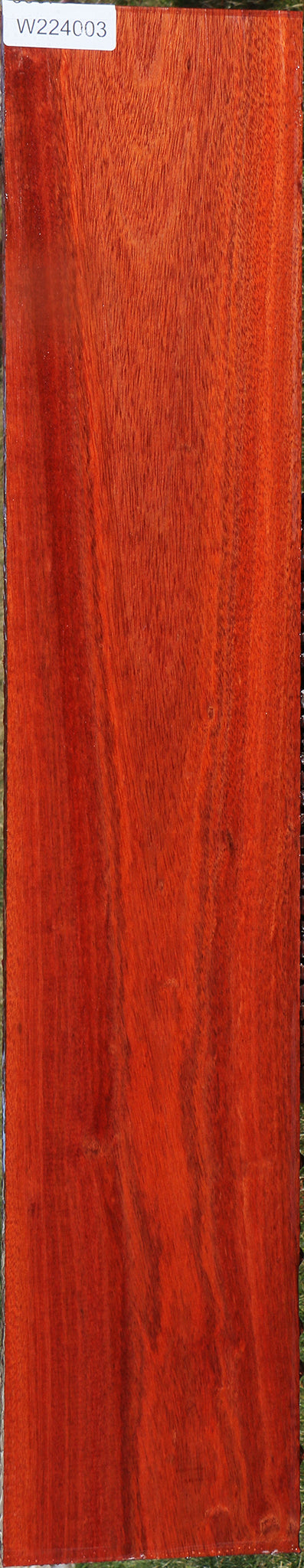 Figured Bloodwood Lumber