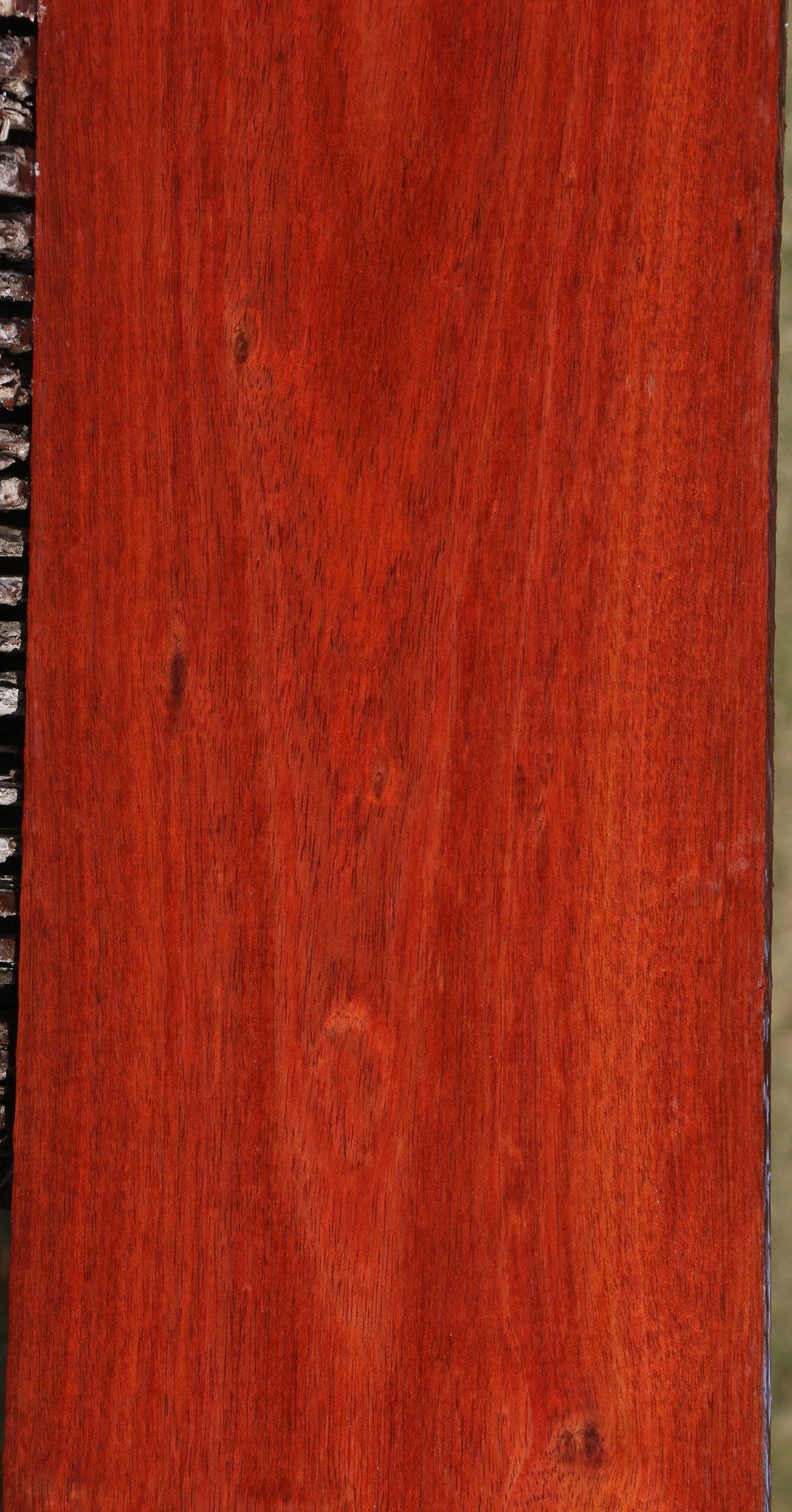 Figured Bloodwood Lumber