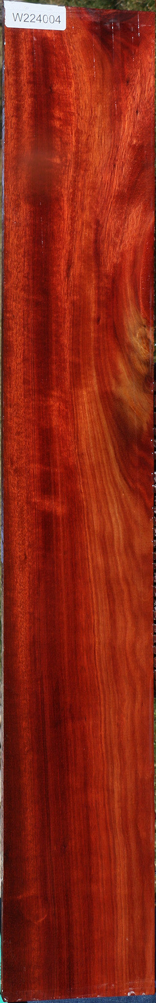 Extra Fancy Bloodwood Lumber