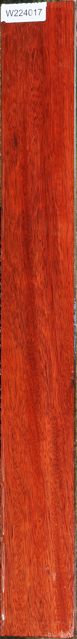 Figured Bloodwood Lumber