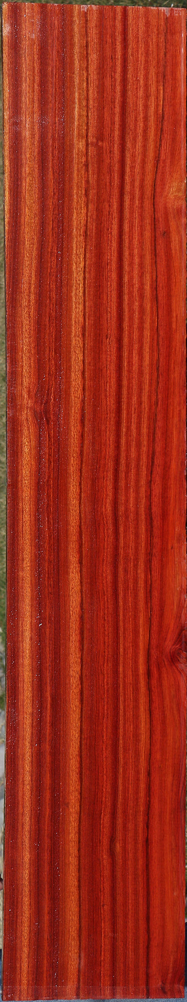 Extra Fancy Bloodwood Lumber