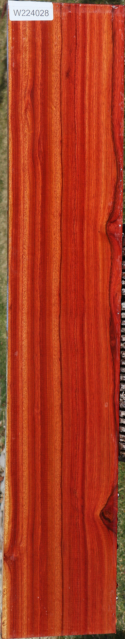 Extra Fancy Bloodwood Lumber