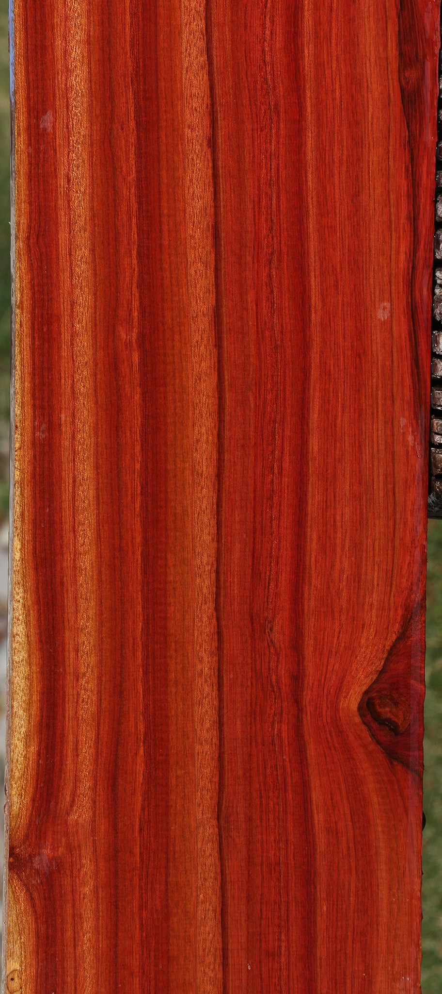 Extra Fancy Bloodwood Lumber