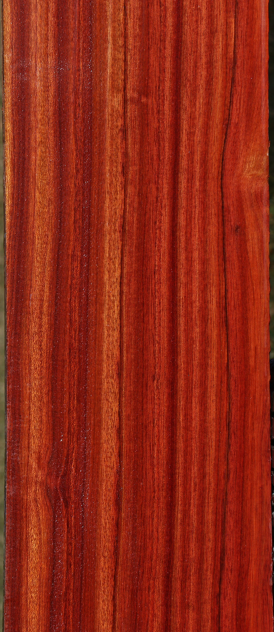 Extra Fancy Bloodwood Lumber