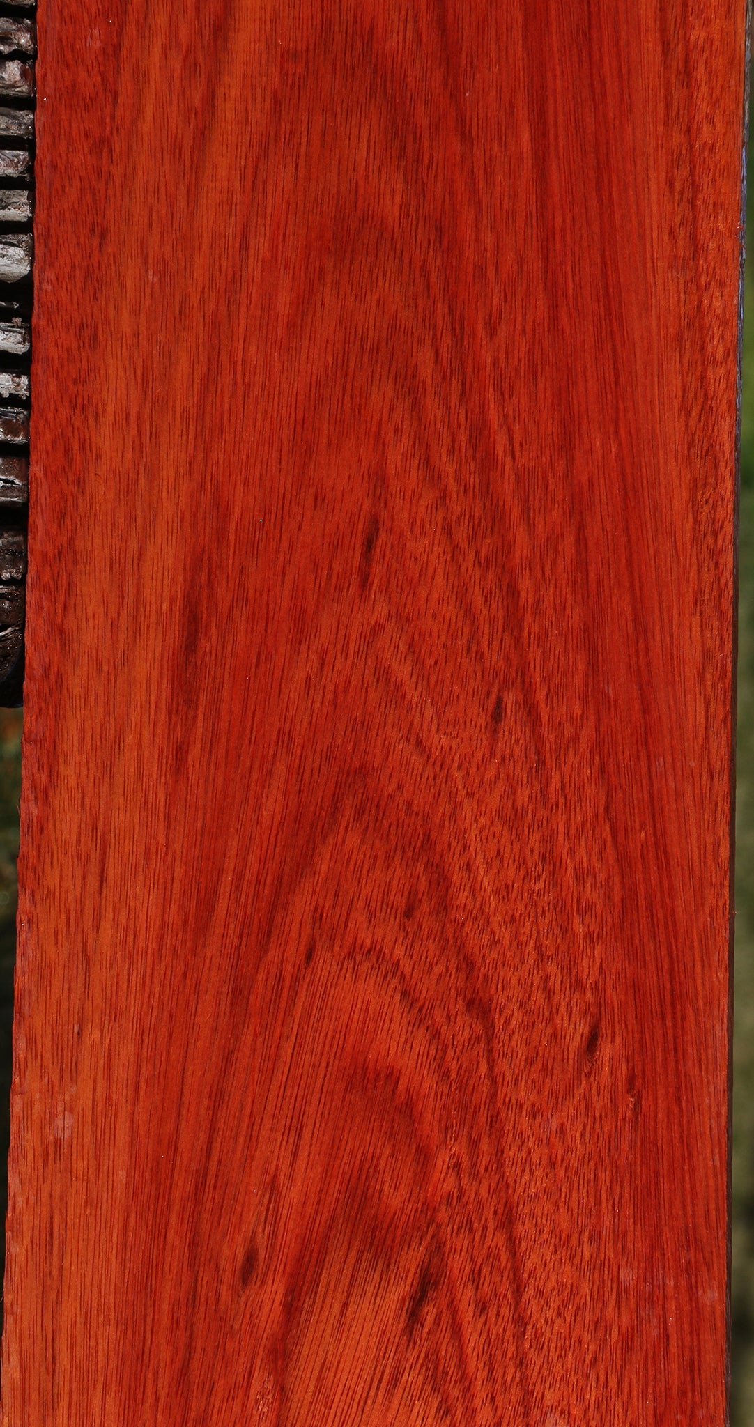 Bloodwood Lumber