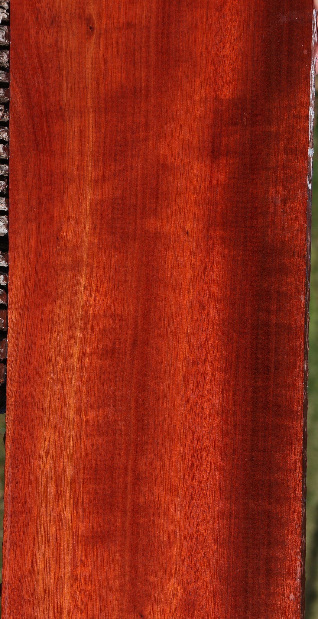 Bloodwood Lumber