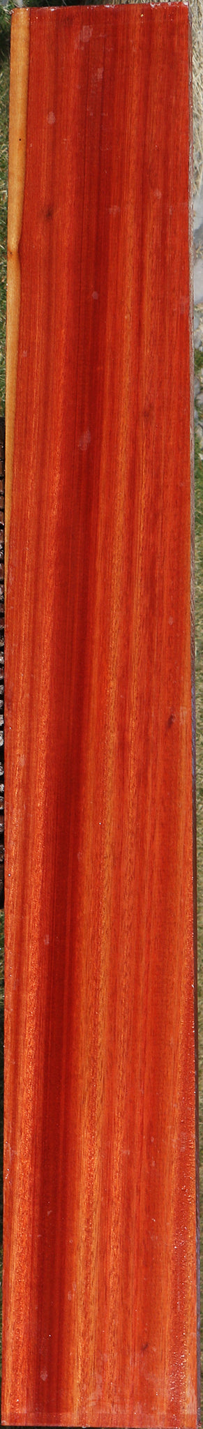 Figured Bloodwood Lumber