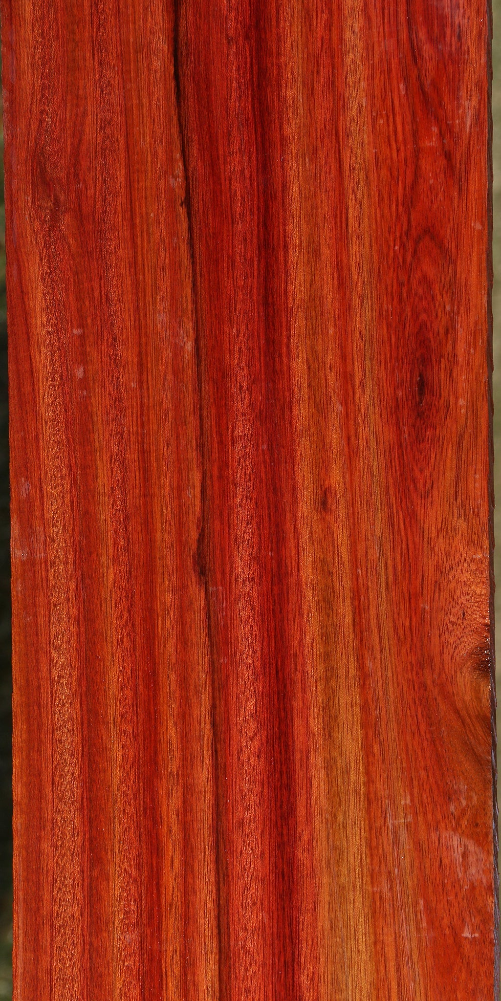 Figured Bloodwood Lumber