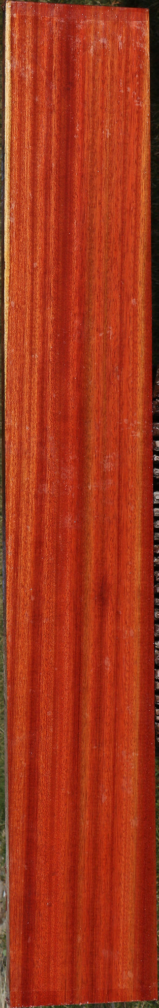 Figured Bloodwood Lumber