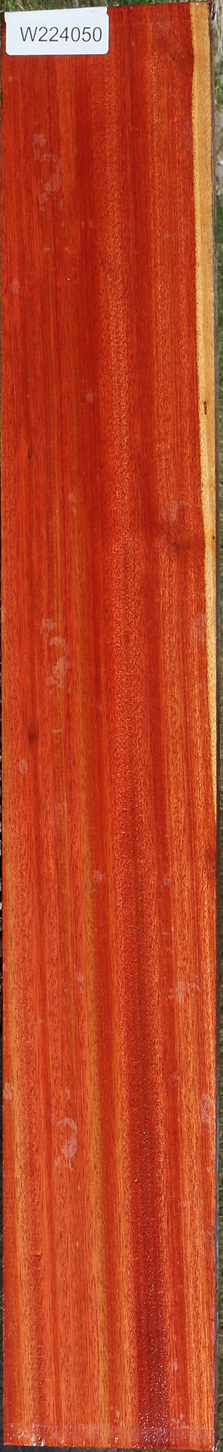 Figured Bloodwood Lumber