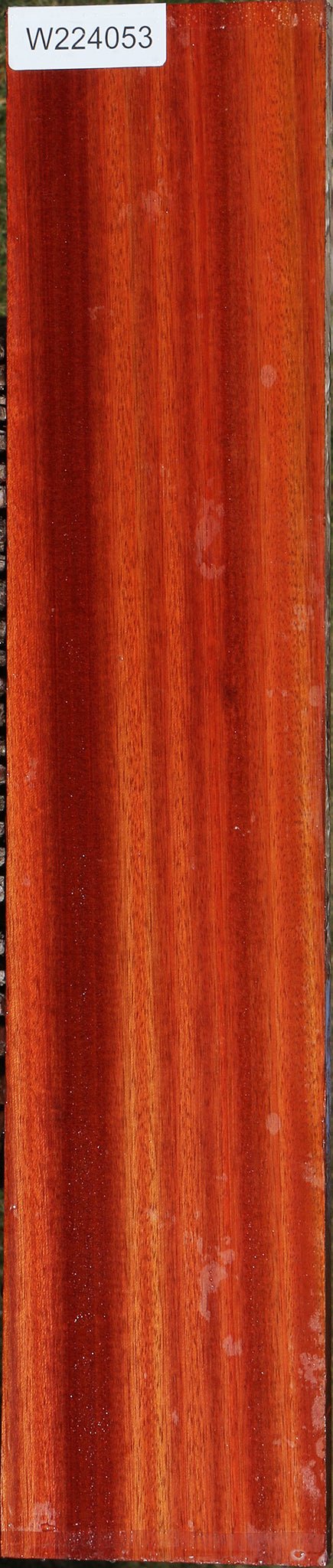 Bloodwood Lumber